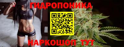 гашик Ликино-Дулёво